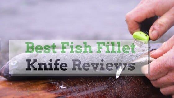 best fish fillet knife