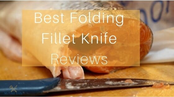 Best Folding Fillet Knife