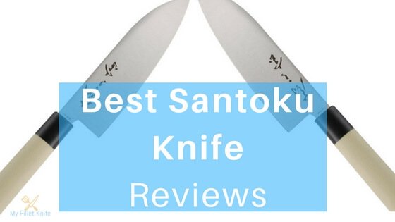 Best Santoku Knife
