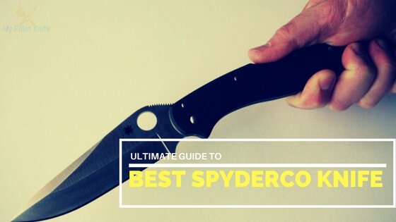 your guide to,Best Spyderco Knife