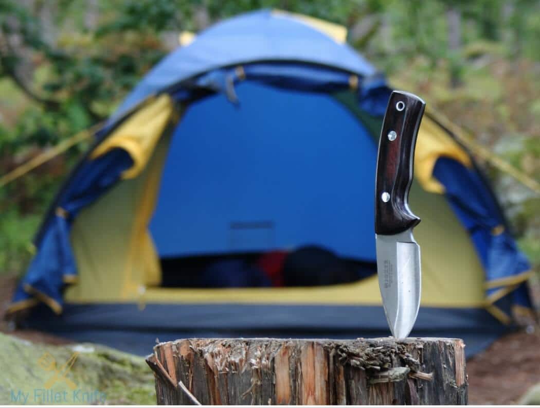 Top 5 Best Camping Knife Reviews in 2024