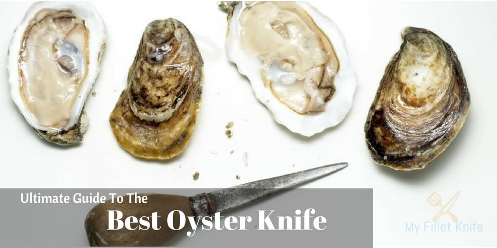 Top 3 Best Oyster Knife Reviews [2024 Model Compared]