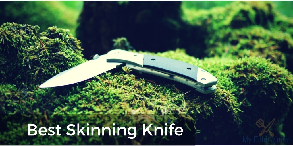 Best Skinning Knives Reviews 2020 – Top Models Compared for YOU