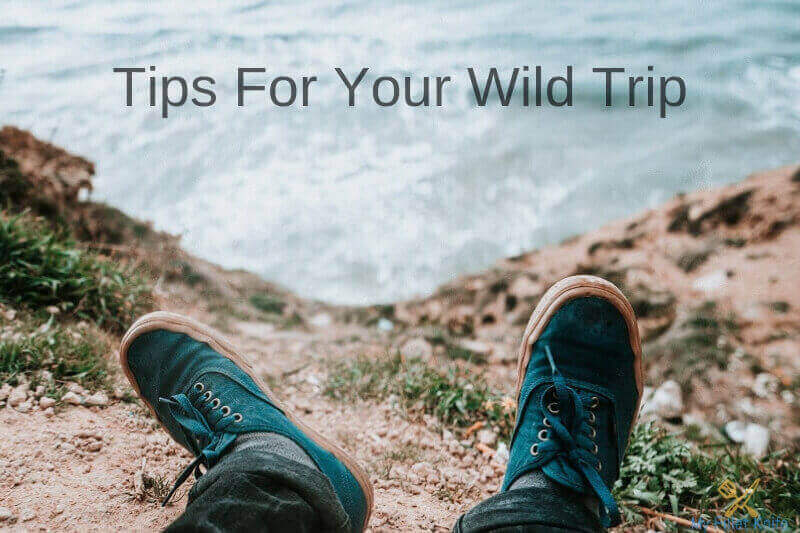 Tips for your Wild Trip